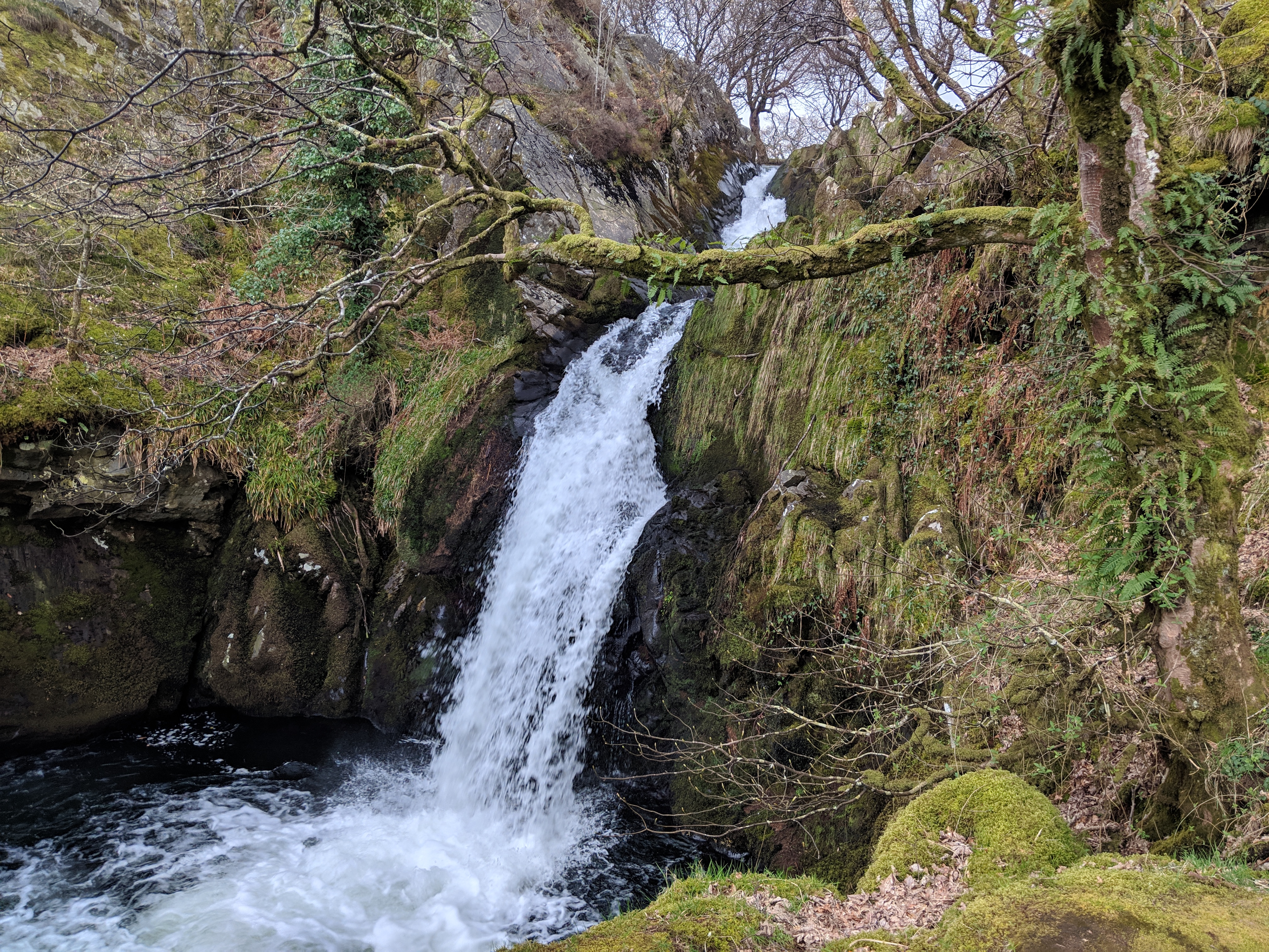 Tuesday Tip, April 9, 2019