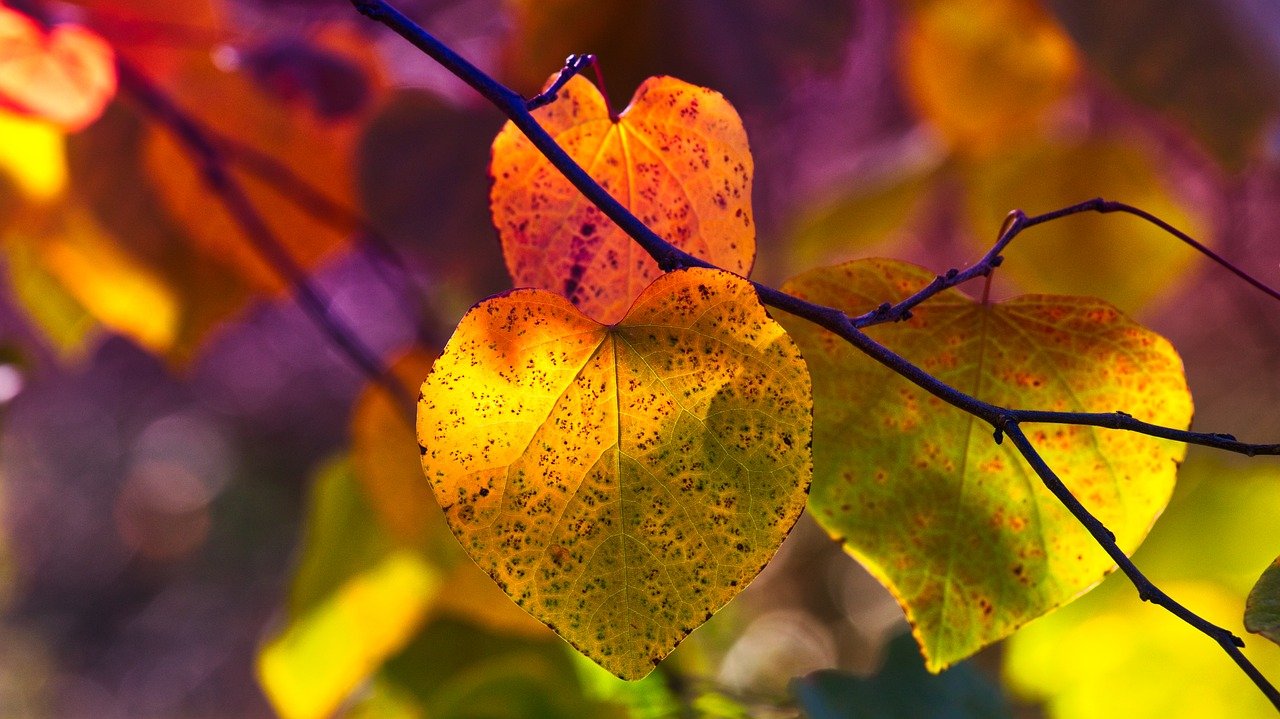 Change is in the Air — Time for a Digital Marketing Change?