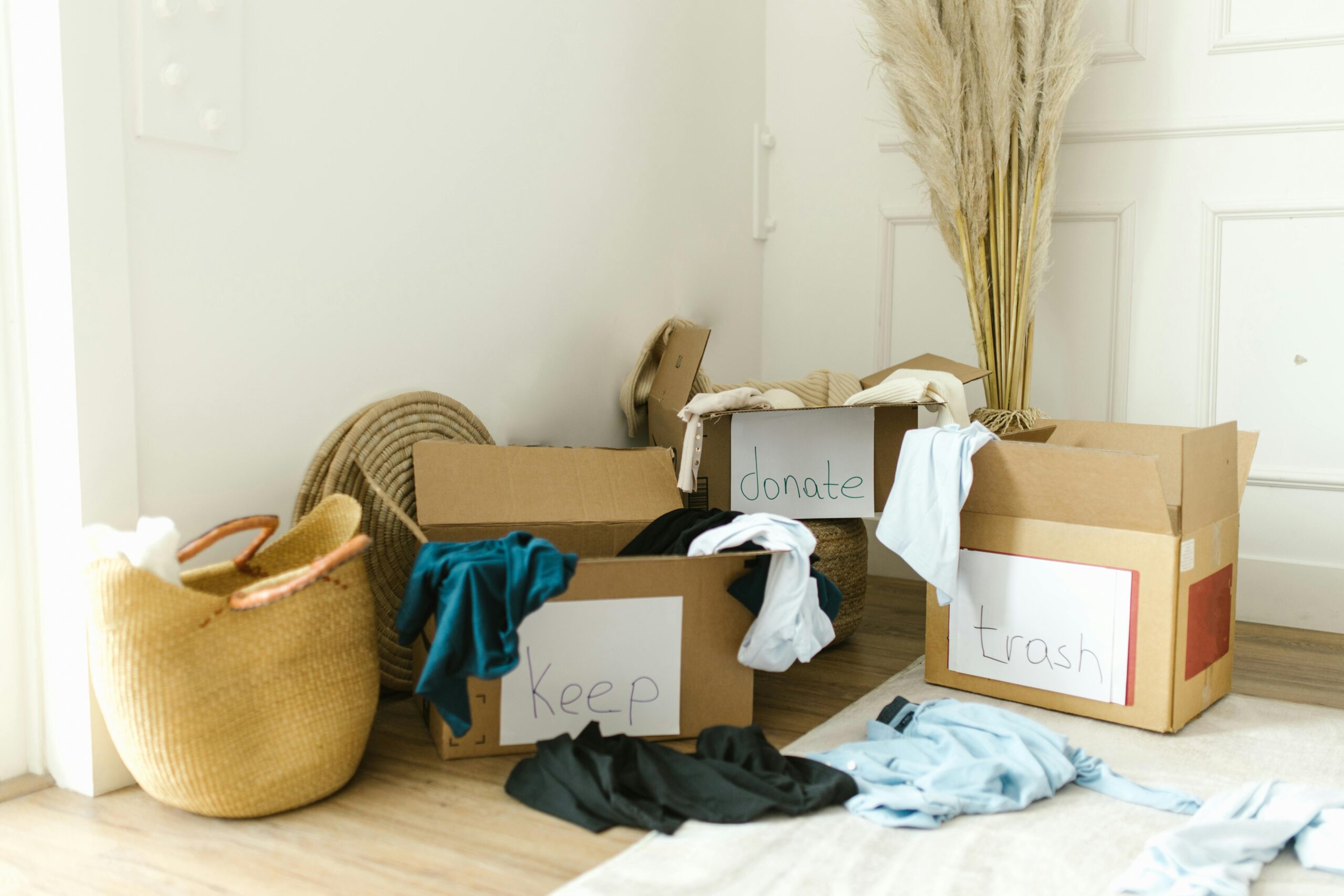 Your Website Needs a Seasonal Cleaning: A Simple Guide to WordPress Optimization