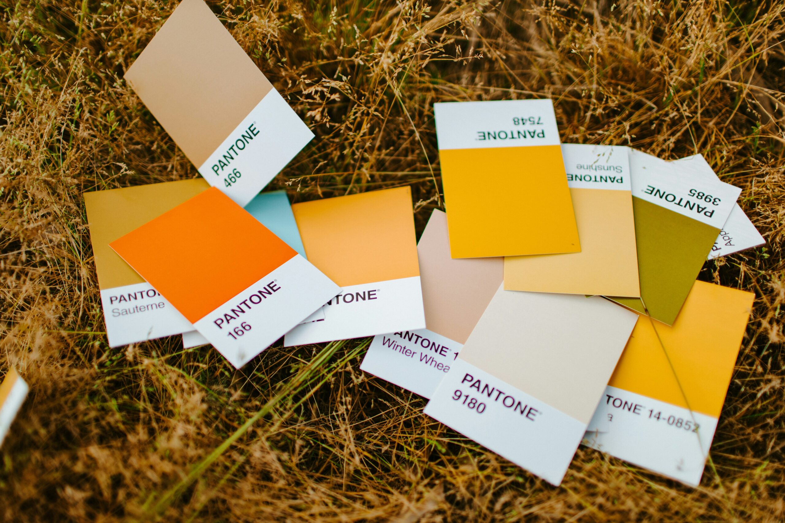 The Gold Standard: How Call-To-Action Colors Guide Action